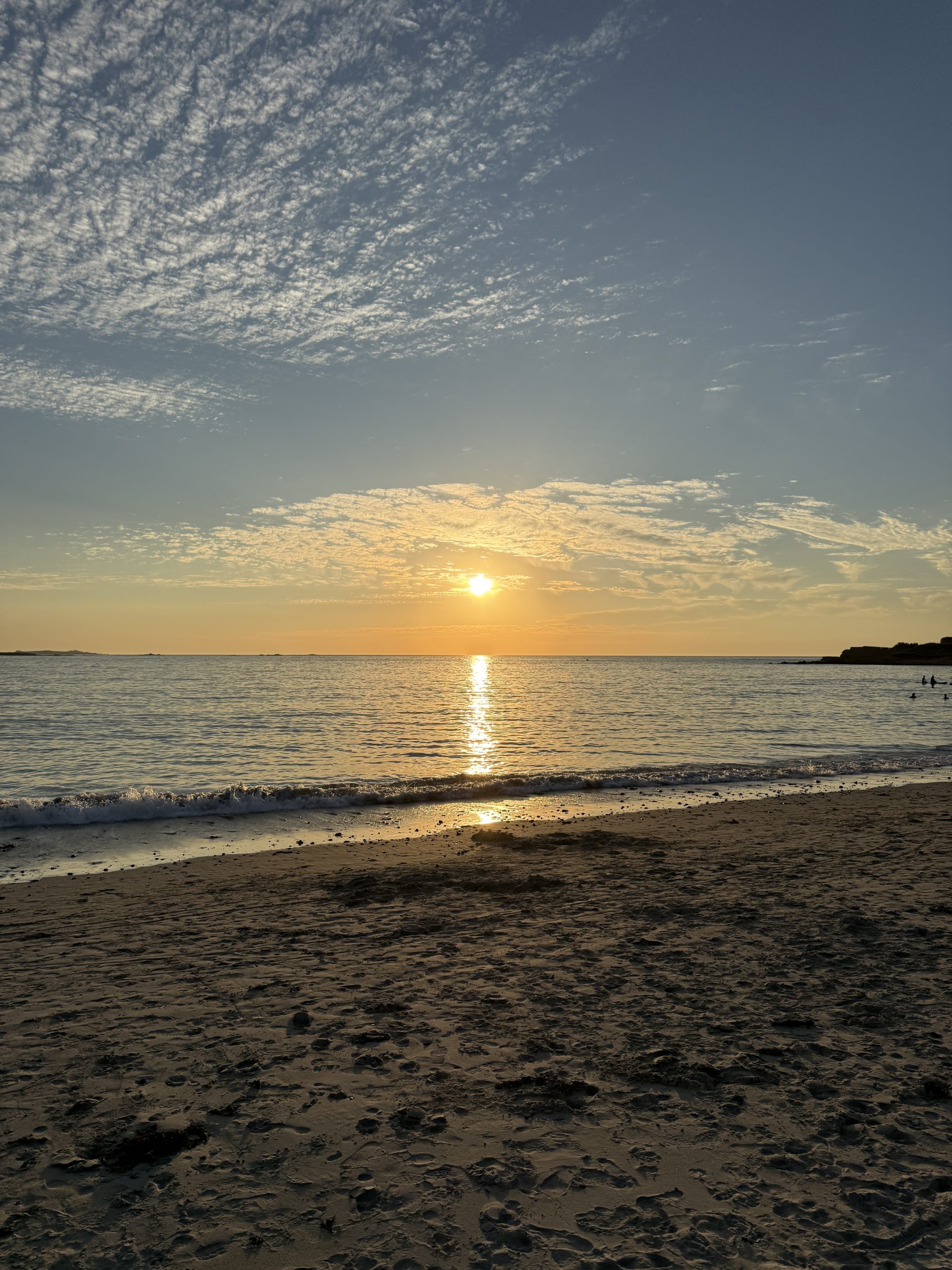 Dog Friendly Beaches