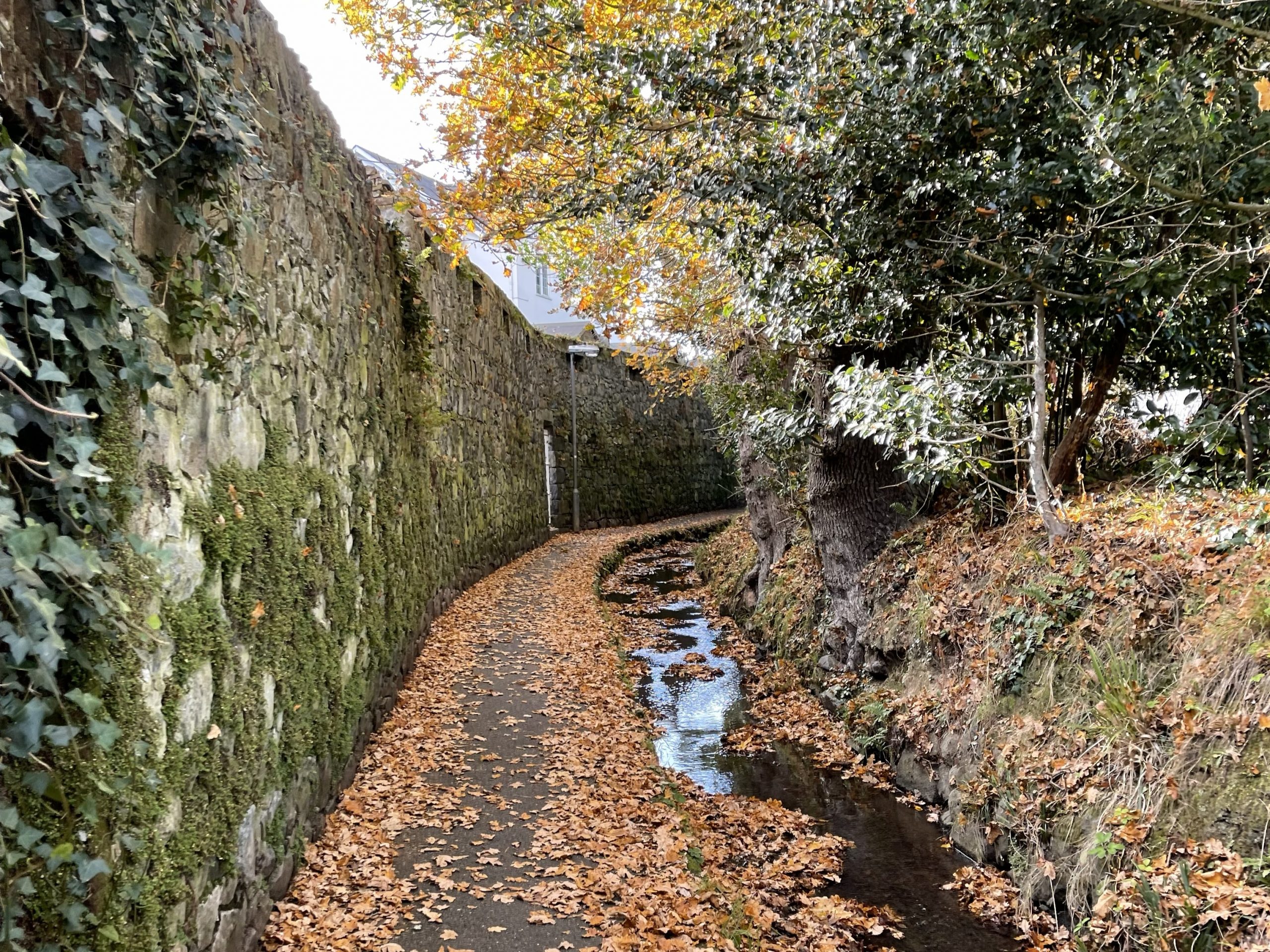 Water Lanes – Route 1